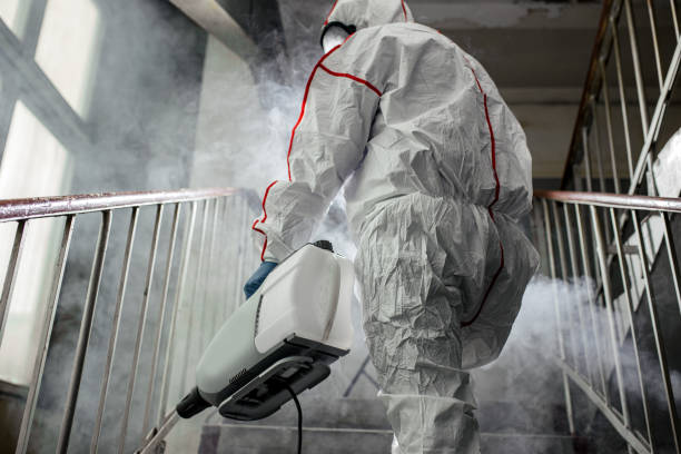 Best Mold Removal for HVAC Installations  in Benton, IL